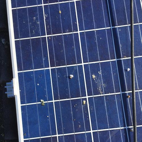 LAVAGGIO PROFESSIONALE impianti fotovoltaici (spazzole antigraffio + prodotti specifici)